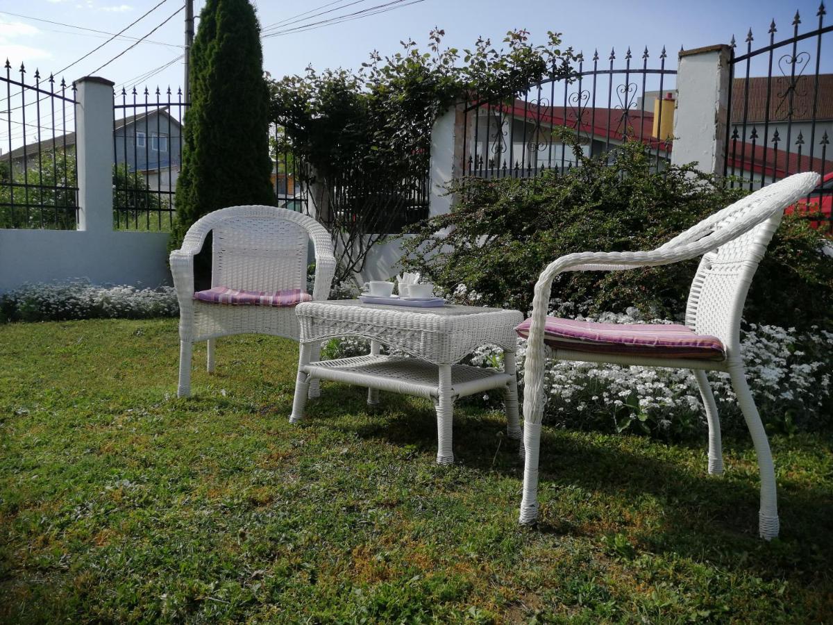 Pensiunea Miraj Costineşti Exterior foto